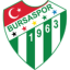 Bursaspor logo