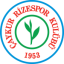 Rizespor logo