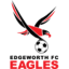 Edgeworth Eagles logo
