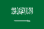 Saudi Arabia U20 logo