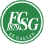 St. Gallen II logo