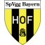 Bayern Hof logo