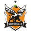 Nova Iguaçu U20 logo