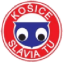 Slávia TU Košice logo