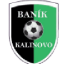 Baník Kalinovo logo