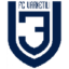 Varketili logo
