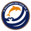Delfines Del Este logo