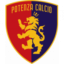 Potenza logo