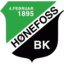 Hønefoss W logo