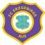 Erzgebirge Aue logo