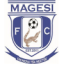 Magesi logo