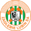 Zagłębie Lubin U19 logo