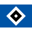 Hamburger SV W logo