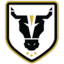 Bulls Academy logo