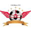 Lifofane logo