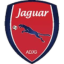 Jaguar U20 logo