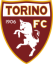 Torino U20 logo