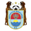 Deportivo Binacional logo