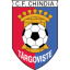 Chindia Targoviste logo