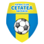 Cetatea Suceava logo