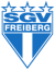 SGV Freiberg Fussball U19 logo