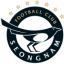 Seongnam FC logo