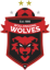 Wollongong Wolves U20 logo