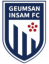 Geumsan Insam logo