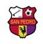 Deportivo San Pedro logo