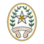 Estrela Calheta logo