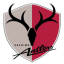 Kashima logo