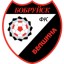 Belshina logo