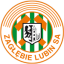 Zaglebie Lubin logo