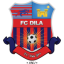 Dila logo
