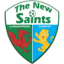 The New Saints logo