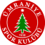 Ümraniyespor logo