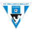 Vlašim logo