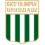 Olimpia Grudziądz logo