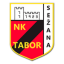 Tabor Sežana logo
