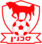 Bnei Sakhnin logo