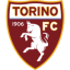 Torino logo