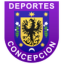 Concepción logo