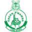 Green Mamba logo