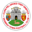 Denbigh Town logo