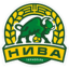 Nyva Ternopil logo