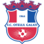 Oţelul logo