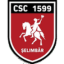 Viitorul Şelimbăr logo