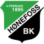 Hønefoss logo