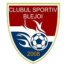 Blejoi logo