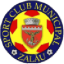 SCM Zalău logo